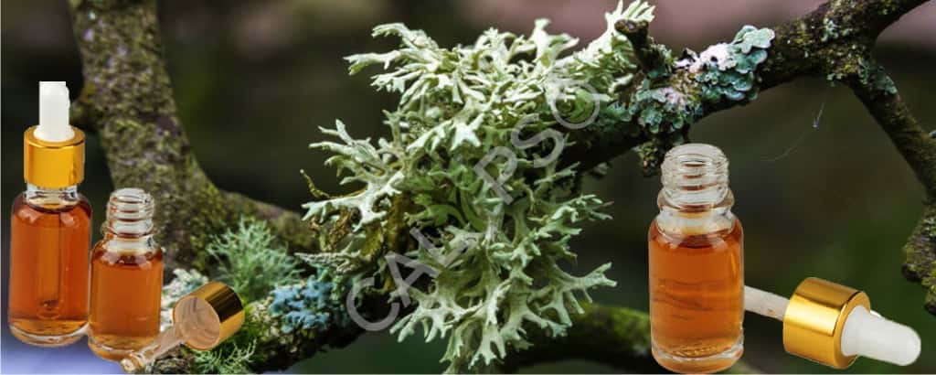 Pure Oakloss Absolute Aceite